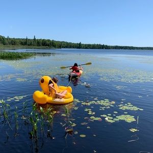 Meet your Posher, Izzy